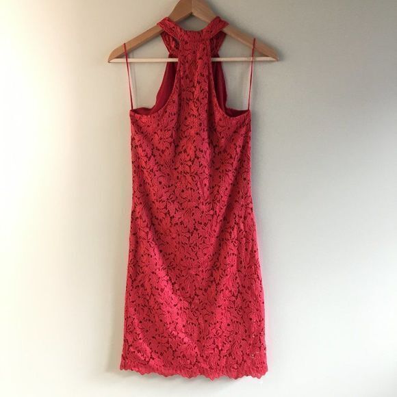 ZARA Trafaluc High Neck Halter Lace Bodycon Dress‎ - Picture 6 of 6